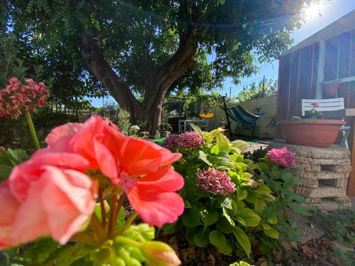 Villa La Casa Del Carrubo Cagliari Exterior foto